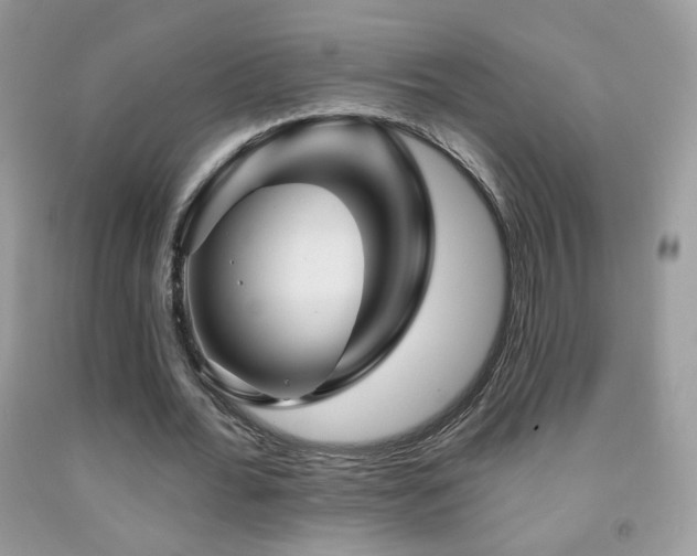 X0000092010676200709061533