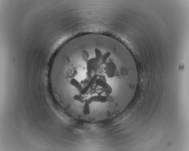 X0000092010679200709061533