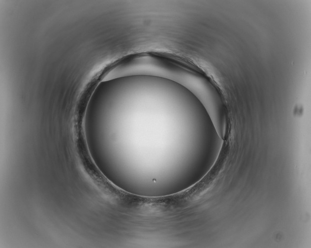 X0000092010680200709061533