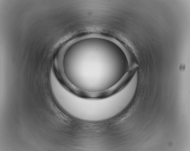 X0000092010681200709061533