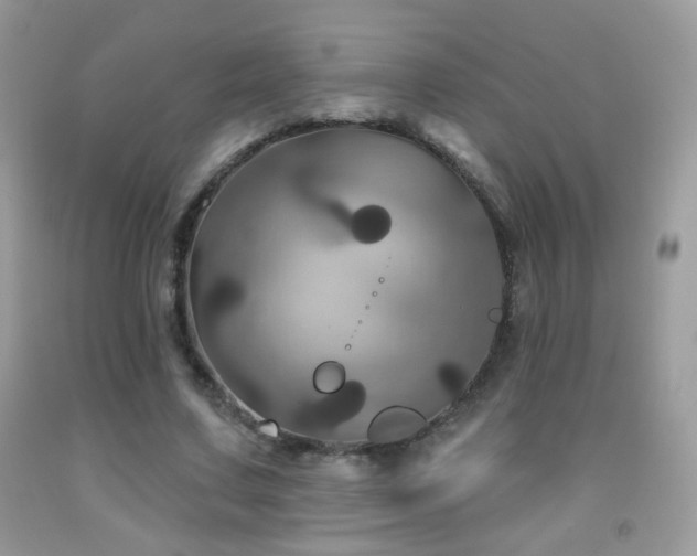X0000092010683200709061533