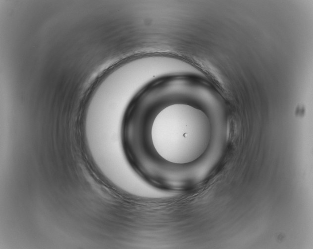 X0000092010684200709061533