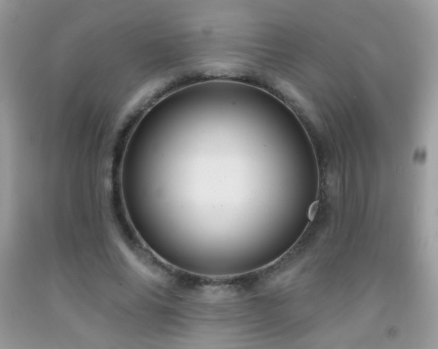 X0000092010686200709061532