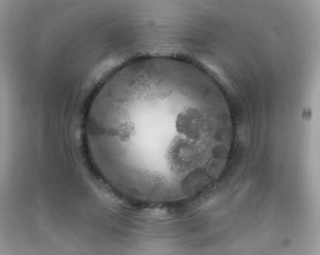 X0000092010687200709061532