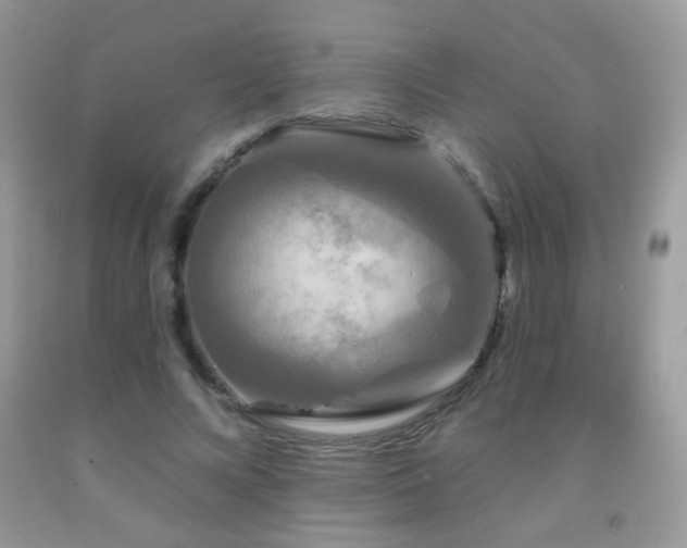 X0000092010688200709061532