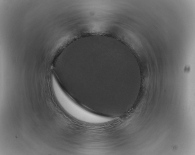 X0000092010689200709061532