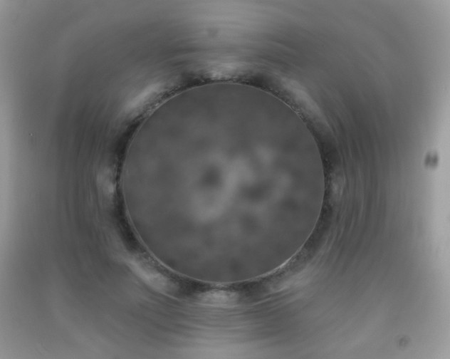 X0000092010691200709061532