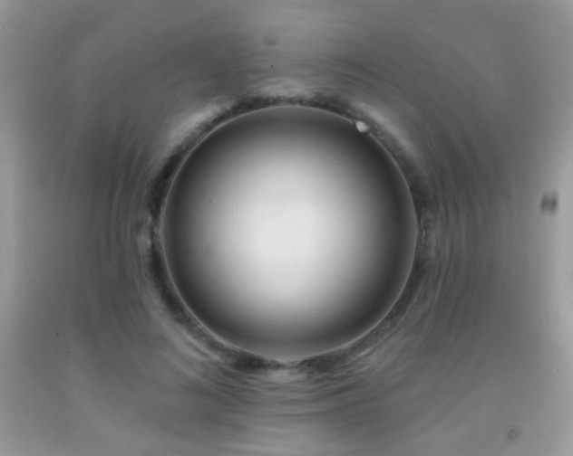 X0000092010692200709061532