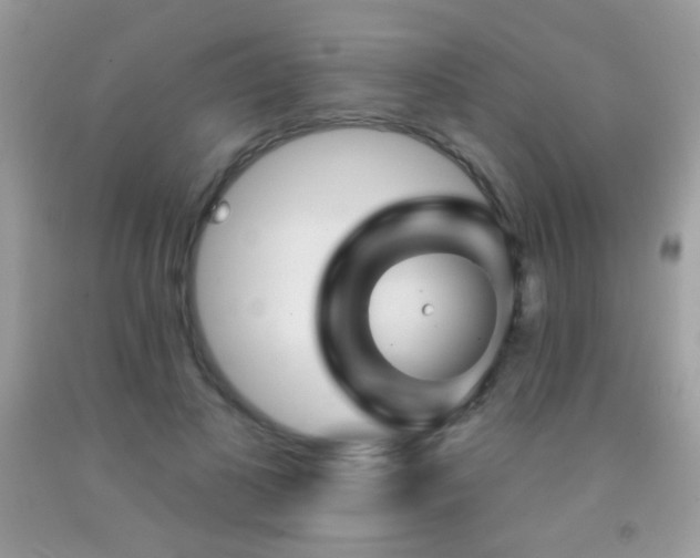 X0000092010693200709061532