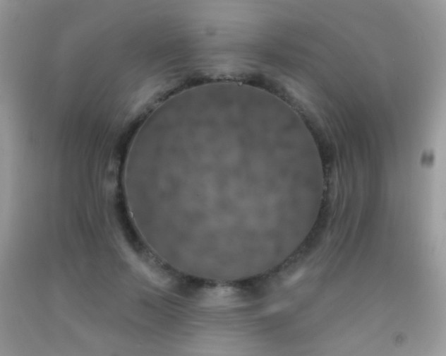 X0000092010695200709061532