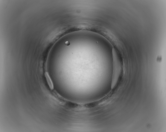 X0000092010696200709061532