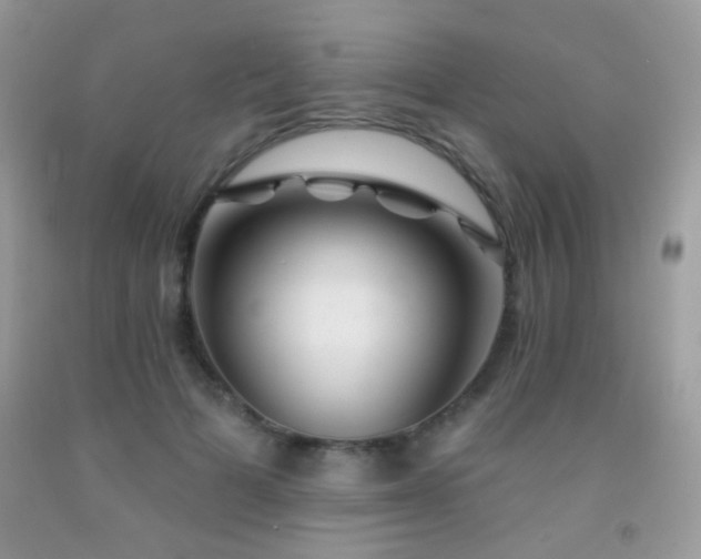 X0000092010697200709061532