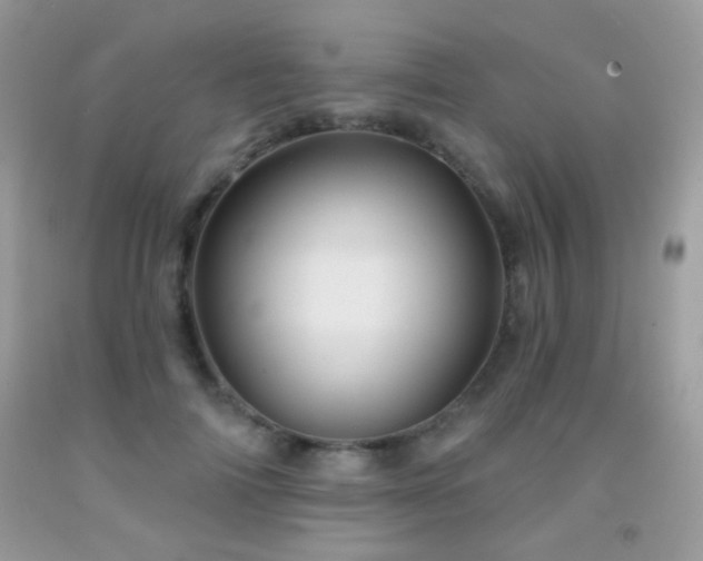 X0000092010698200709061532