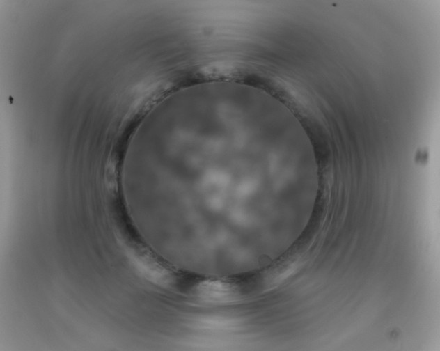 X0000092010699200709061532
