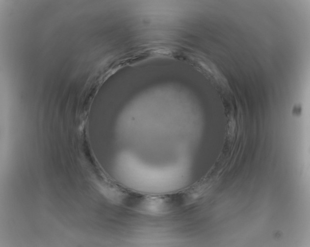 X0000092010701200709061532