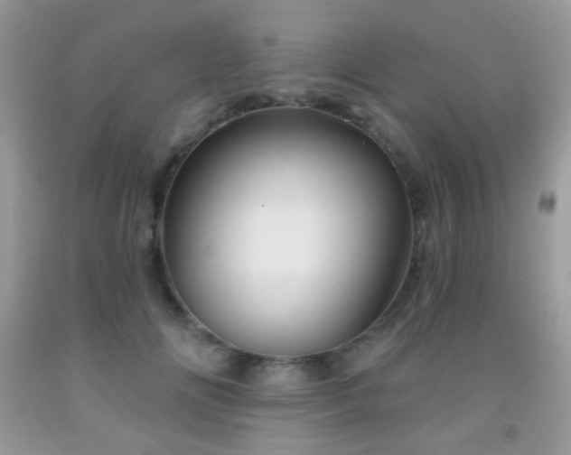 X0000092010702200709061532