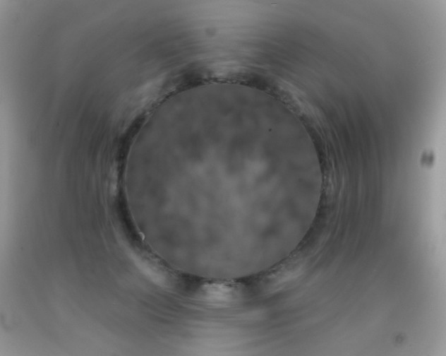 X0000092010703200709061532