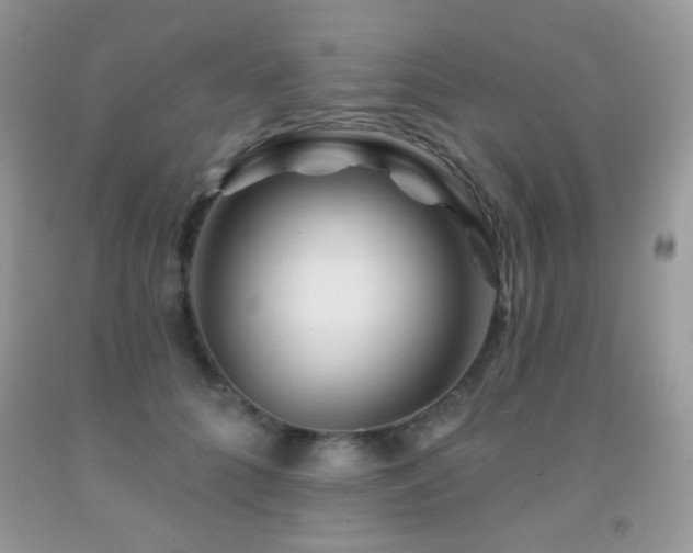 X0000092010704200709061532