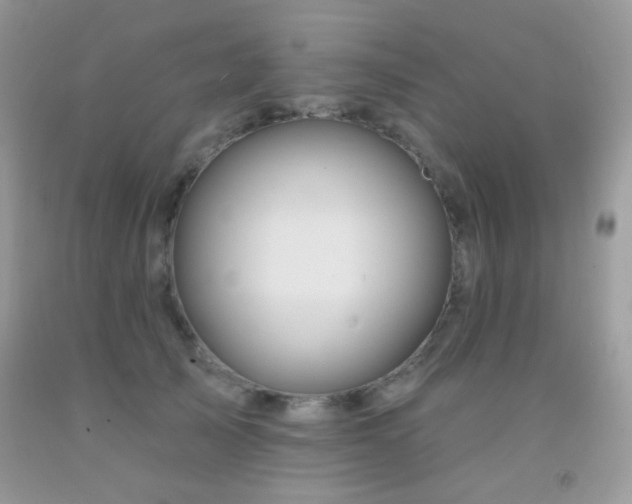 X0000092010705200709061532