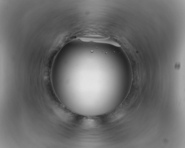 X0000092010706200709061532