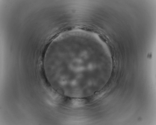 X0000092010707200709061532