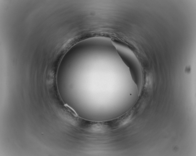 X0000092010708200709061532