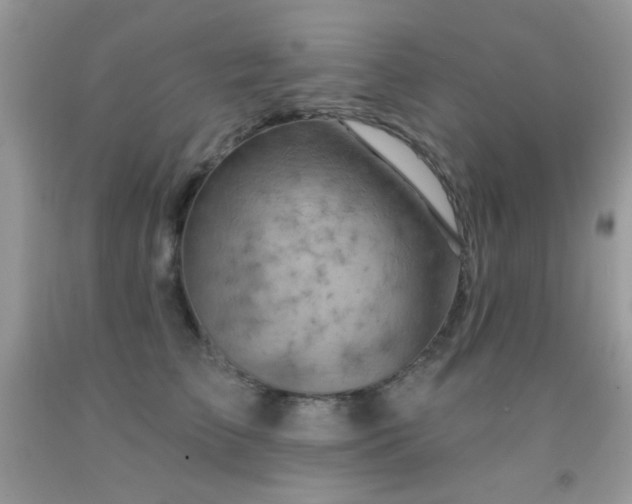 X0000092010709200709061532