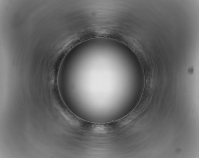 X0000092010710200709061532