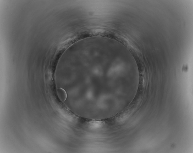 X0000092010711200709061532