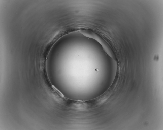 X0000092010712200709061532