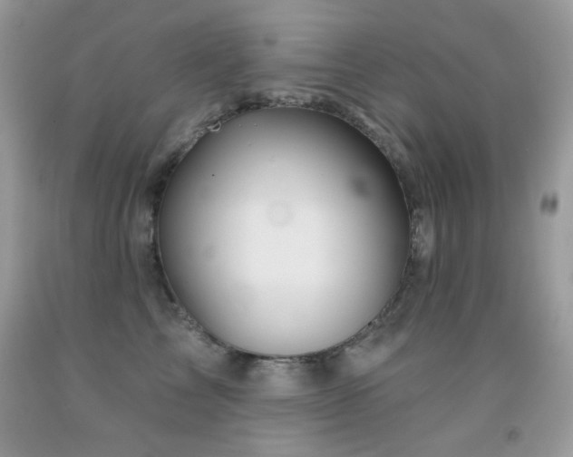 X0000092010713200709061532