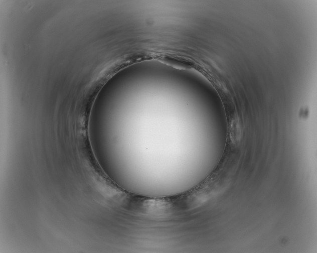 X0000092010714200709061532