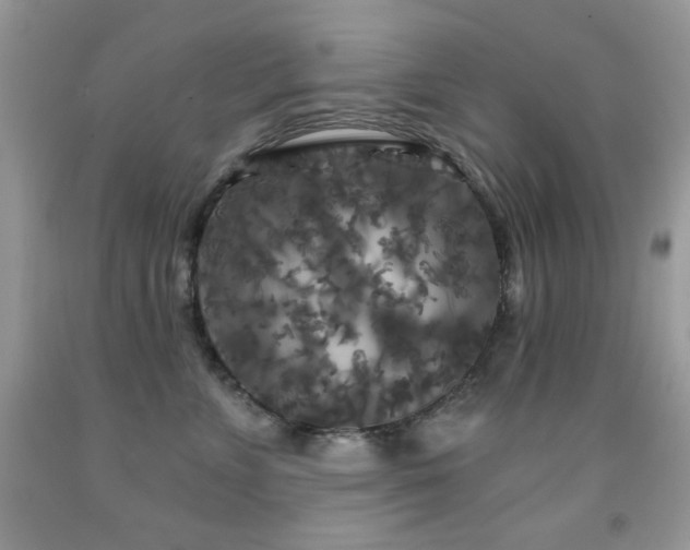 X0000092010715200709061532