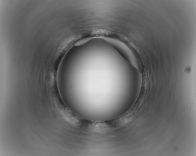 X0000092010716200709061532