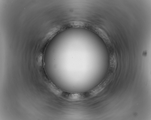 X0000092010717200709061532
