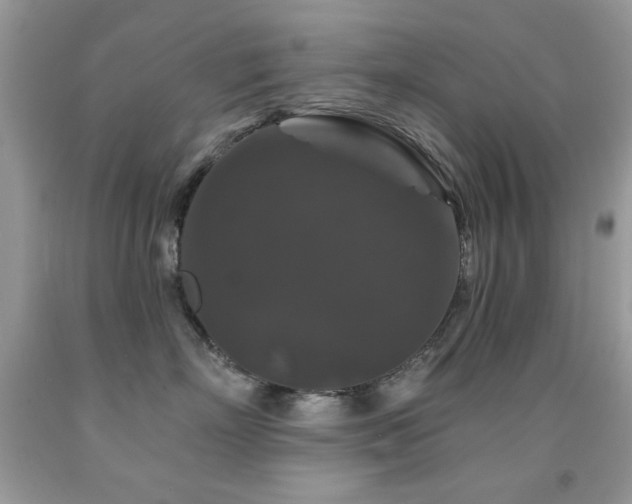 X0000092010718200709061532