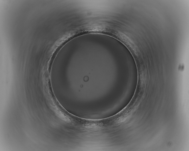 X0000092010721200709061531