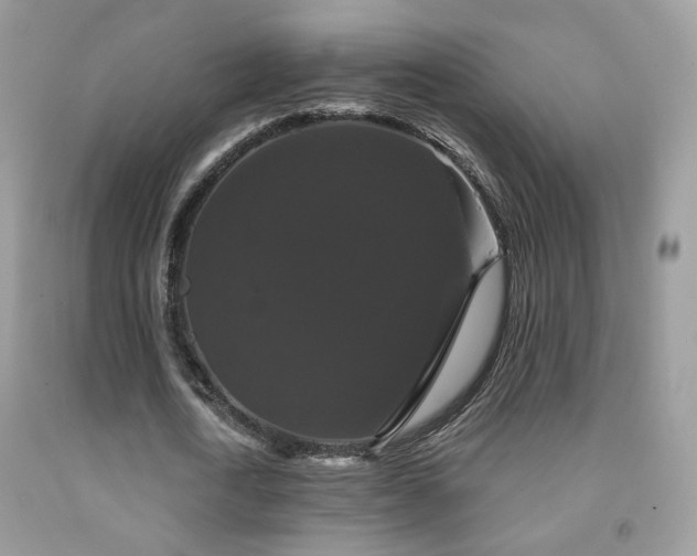 X0000092010722200709061531