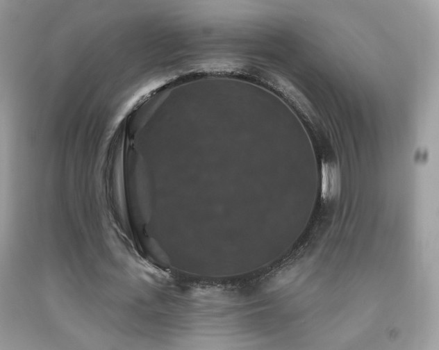 X0000092010723200709061531