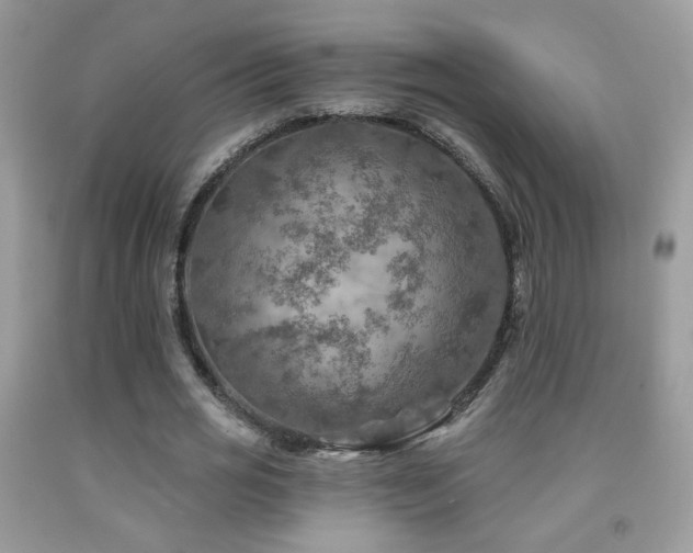 X0000092010725200709061531