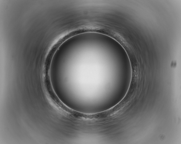 X0000092010726200709061531