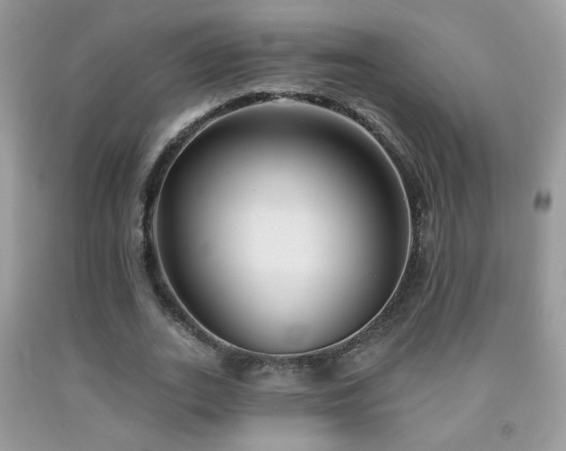X0000092010727200709061531