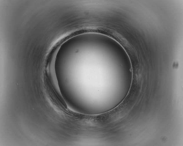 X0000092010728200709061531