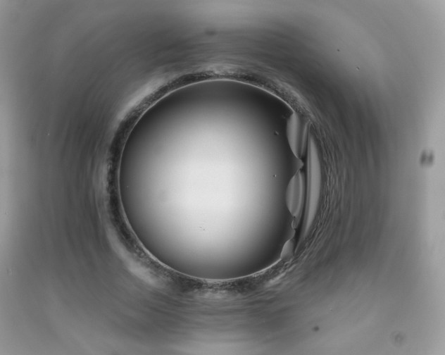 X0000092010730200709061531