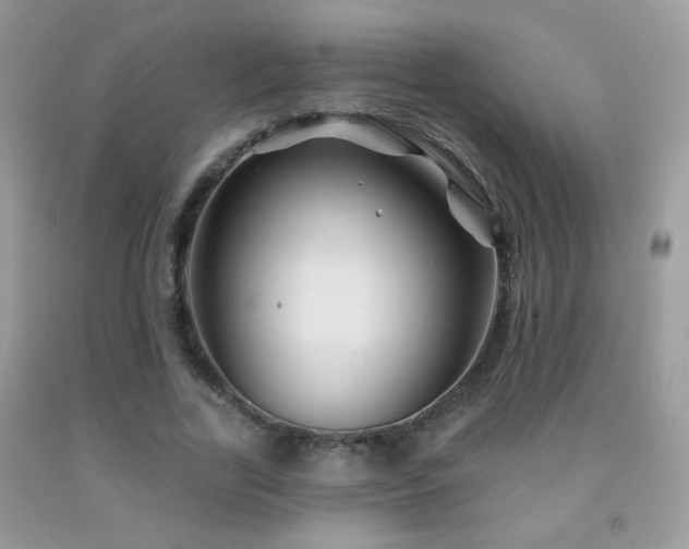 X0000092010731200709061531