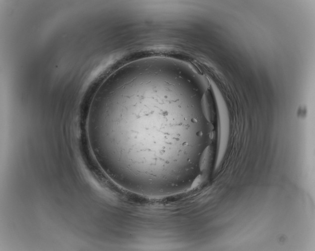 X0000092010734200709061531