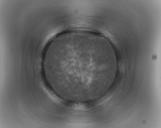 X0000092010735200709061531