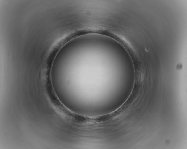 X0000092010736200709061531