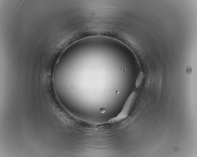 X0000092010737200709061532
