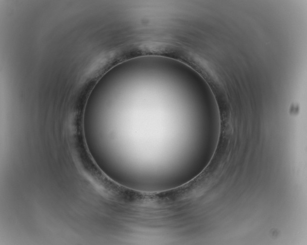X0000092010738200709061532